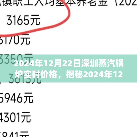 揭秘蒸汽锅炉市场，深圳蒸汽锅炉实时价格与专业解读（2024年12月22日）