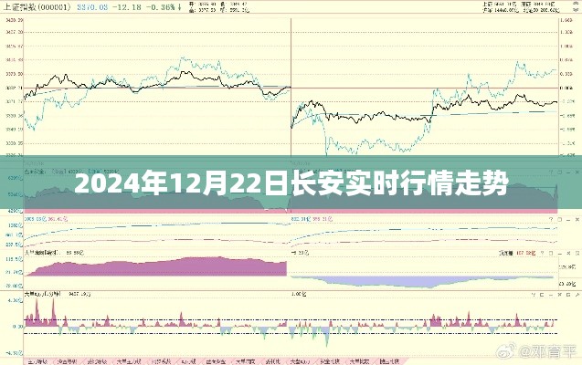 长安实时行情走势分析（最新更新至2024年）