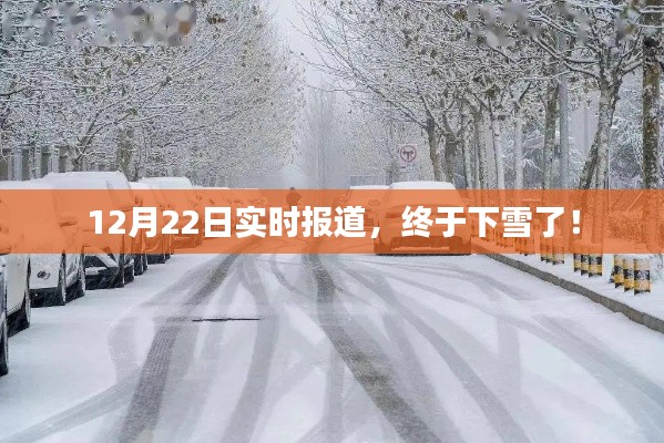 终于下雪了！最新实时报道揭示冬日美景