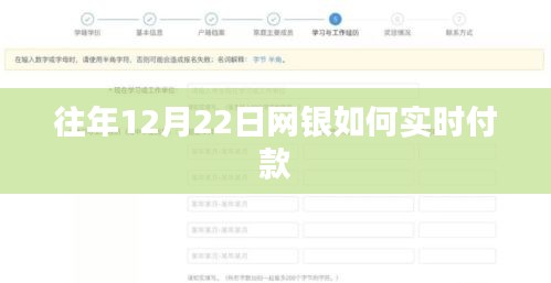 网银实时付款指南，历年12月22日操作流程解析
