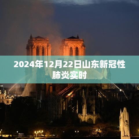 山东新冠性肺炎实时动态更新 2024年12月最新消息