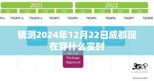 成都天气预报实时，2024年12月穿衣指南