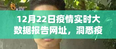 疫情实时大数据报告网址揭秘，全球挑战下的抗疫动态观察