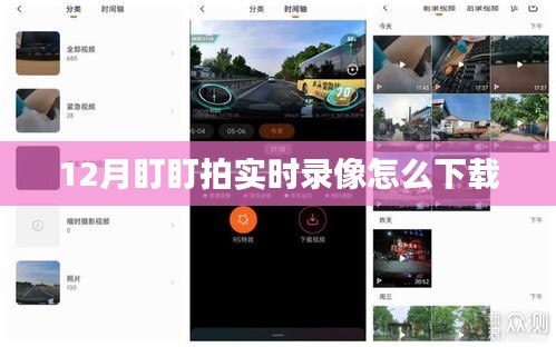 盯盯拍12月实时录像下载攻略