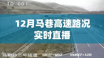 马巷高速实时路况直播，掌握路况动态