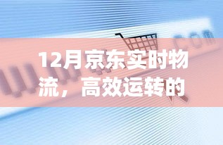 京东智能物流技术，高效供应链体系下的实时运转