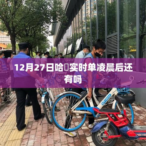 哈啰出行实时单凌晨后是否还有？解答在此