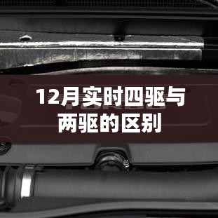 实时四驱与两驱差异解析，12月对比解读