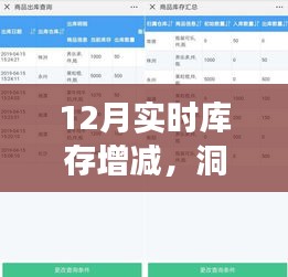 市场动态洞察与库存管理策略，实时库存增减分析