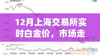 上海交易所白金实时行情分析及投资建议