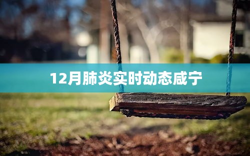 咸宁地区肺炎实时动态报告，12月最新情况分析