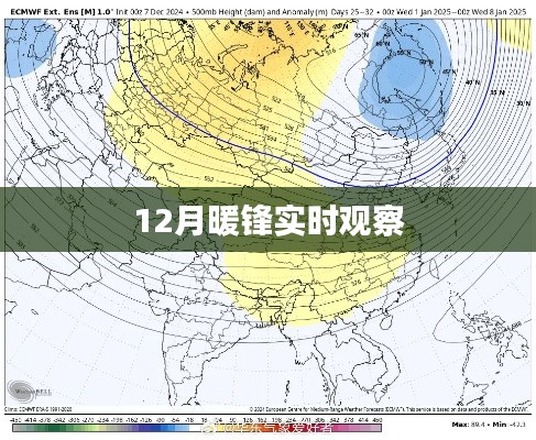 暖锋观察，揭秘十二月最新动态