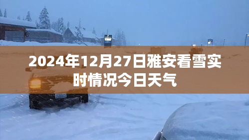 雅安看雪实时情况，今日天气与赏雪指南（最新更新）