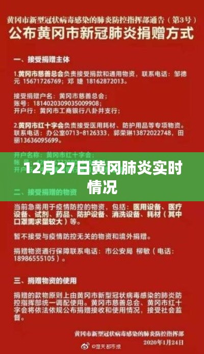 黄冈肺炎实时情况报告，最新数据发布