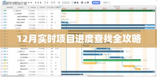 12月项目进度查询全攻略，实时追踪，轻松掌握