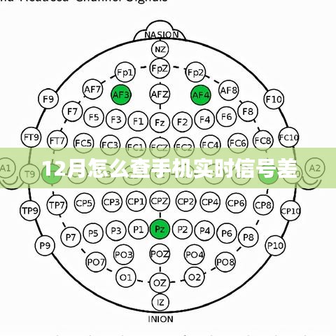 如何查询手机实时信号强度？12月指南！