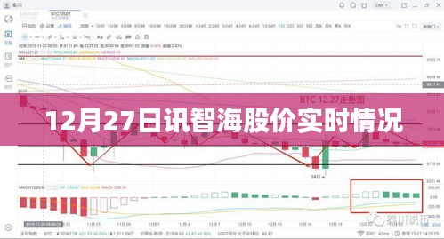 智海股份股价实时动态（最新数据）