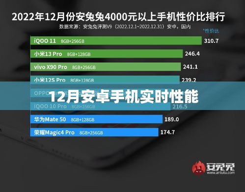 2024年12月29日 第4页