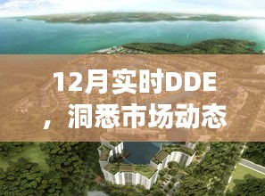 12月DDE实时分析，洞悉市场脉动，把握投资先机