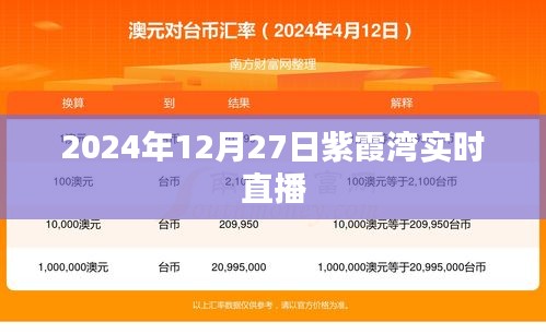 紫霞湾直播盛典，揭秘2024年12月27日盛况