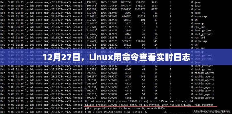 Linux实时日志查看命令解析