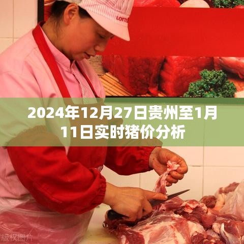 贵州至一月实时猪价分析，2024年预测报告