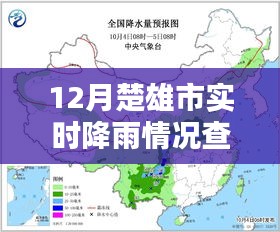 楚雄市最新降雨情况查询报告