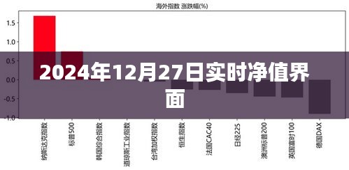 实时净值界面，掌握最新金融资讯（2024年12月27日）