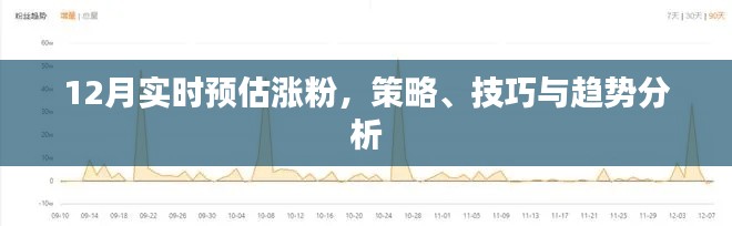 年终涨粉策略与趋势解析，12月实时预估涨粉技巧分享