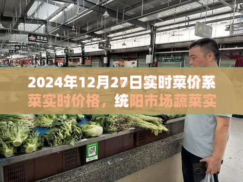 2024年菜价实时更新系统，最新菜价查询