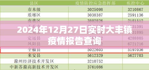 大丰镇疫情报告实时查询（最新更新至2024年）