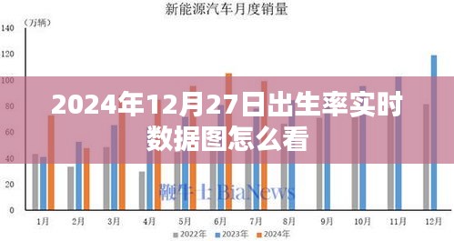 如何解读2024年12月27日出生率实时数据图