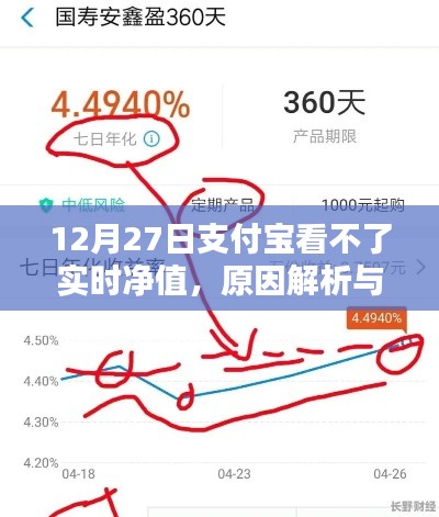 支付宝实时净值无法查看，原因解析及应对方法