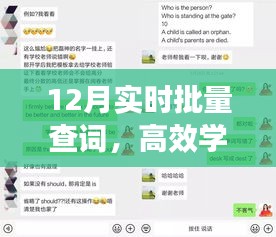 实时批量查词，高效学习新途径揭秘