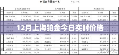 上海铂金今日实时价格（最新更新）