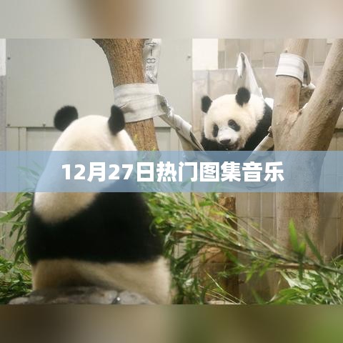 12月27日精选图集音乐盘点