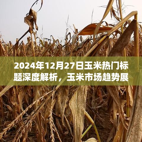 2024年玉米市场趋势深度解析，热门标题展望与种植策略调整