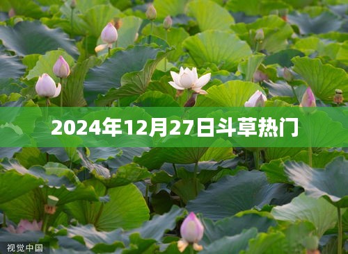 2024年盛况