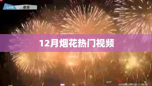 12月烟花盛宴，热门视频大赏