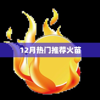 12月热门火苗推荐，不容错过！