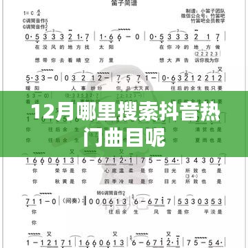 抖音热门曲目12月搜索指南