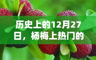 杨梅上热门时刻，历史上的12月27日回顾