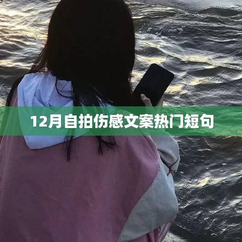 十二月伤感自拍文案短句流行