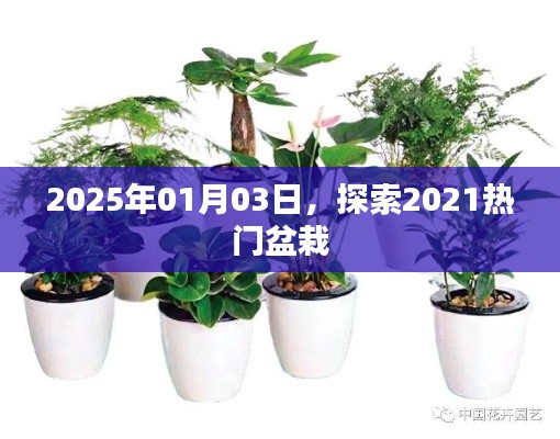 2025年1月3日 第14页