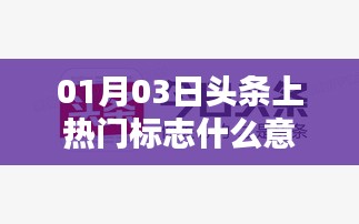 2025年1月3日 第5页