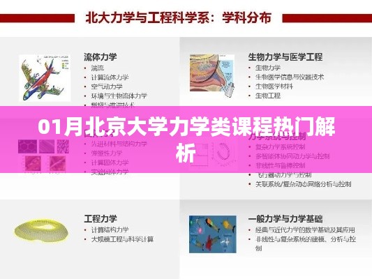 北京大学力学类课程深度解析，热门课程揭秘