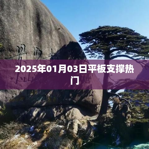 平板支撑风潮再起，2025年热门趋势解析