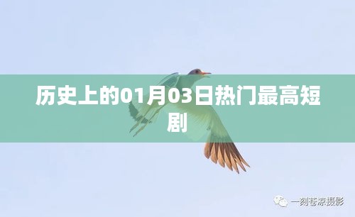 1月3日历史热门短剧盘点