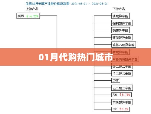 一月代购热门城市榜单