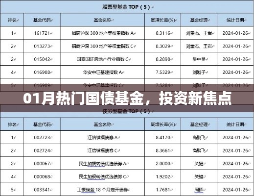 热门国债基金投资焦点，新动向解析